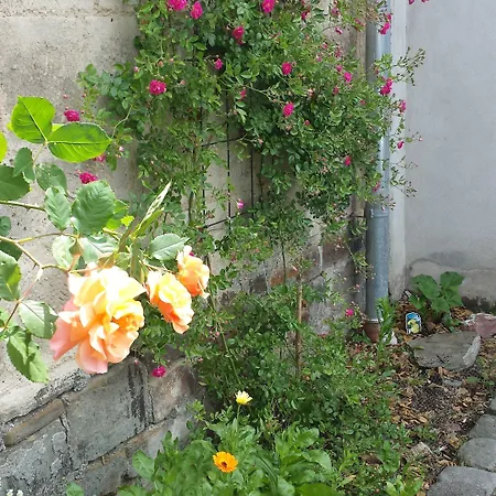 Couette-café Marcos Heuboden 3*