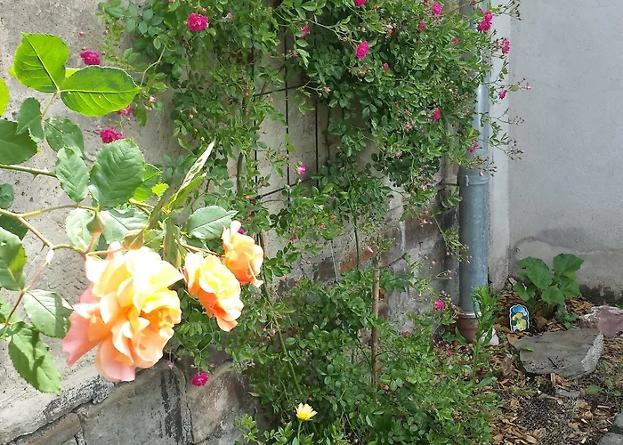 לינה וארוחת בוקר Marcos Heuboden 3*